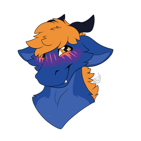 Stitches